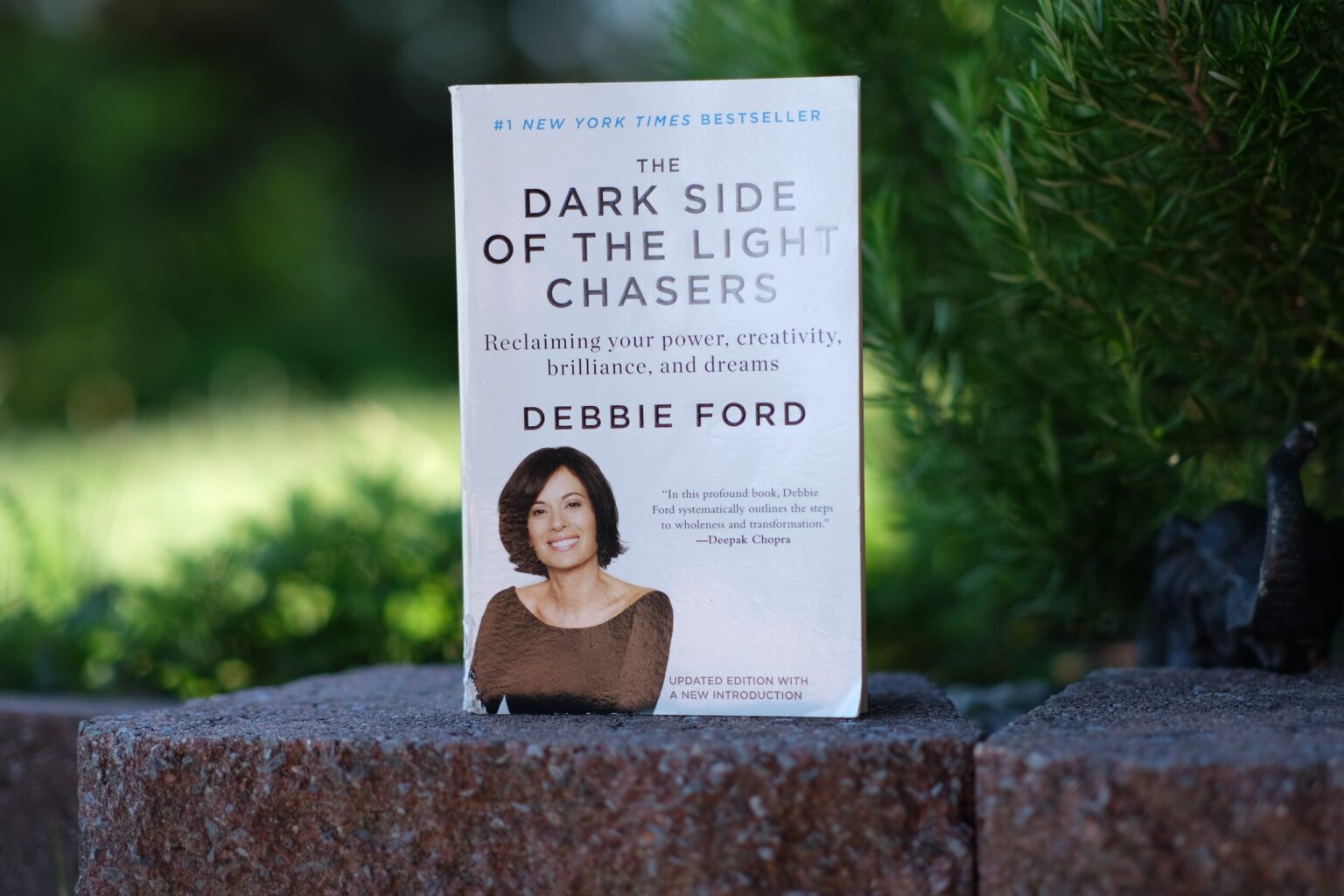 Dark Side of The Light Chaser Book